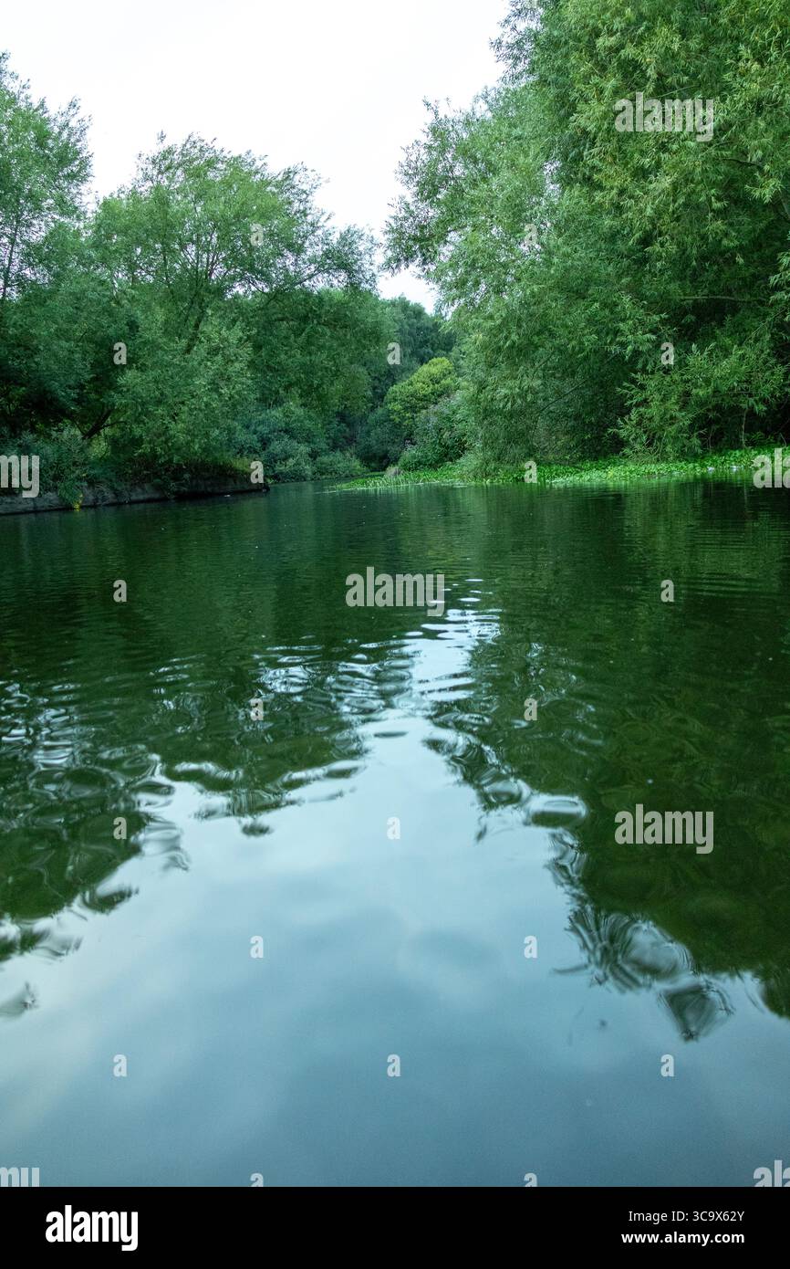 Fiume ancora verde circondato da fitti alberi e piante acquatiche, che riflettono il tranquillo ambiente naturale in una calma Foto Stock