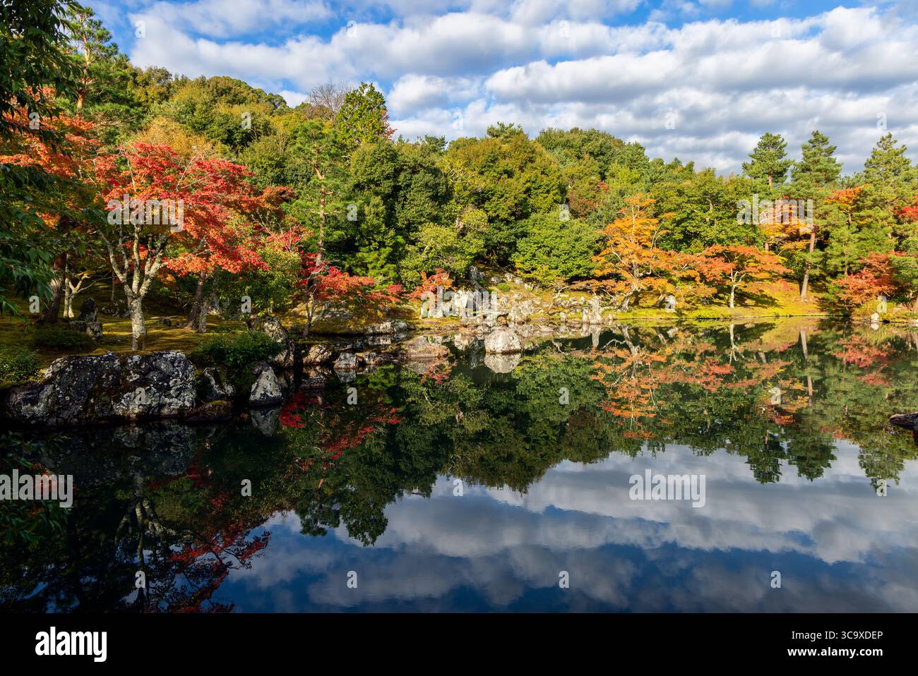 Tranquillo paesaggio autunnale in un giardino giapponese con alberi di acero colorati che si specchiano nelle acque calme di uno stagno delimitato da pietre e fitto verde Foto Stock