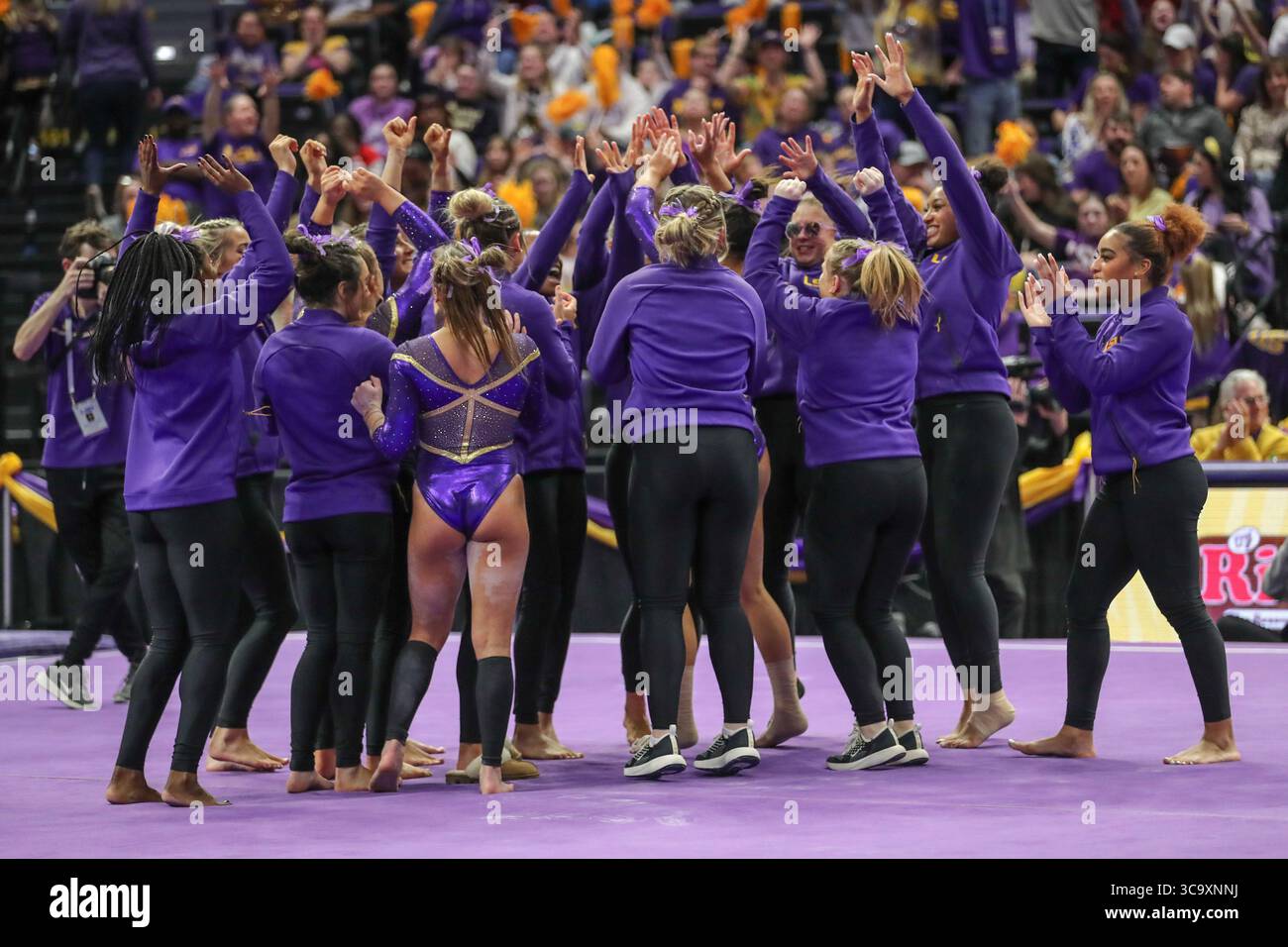 3 febbraio 2023: Il team LSU celebra la routine perfetta a 10 piani di Aleah Finnegan durante l'azione di ginnastica NCAA tra i Georgia Bulldogs e i LSU Tigers al Pete Maravich Assembly Center di Baton Rouge, LOUISIANA. Jonathan Mailhes/CSM (immagine di credito: © Jonathan Mailhes/CSM via ZUMA Press Wire) Foto Stock