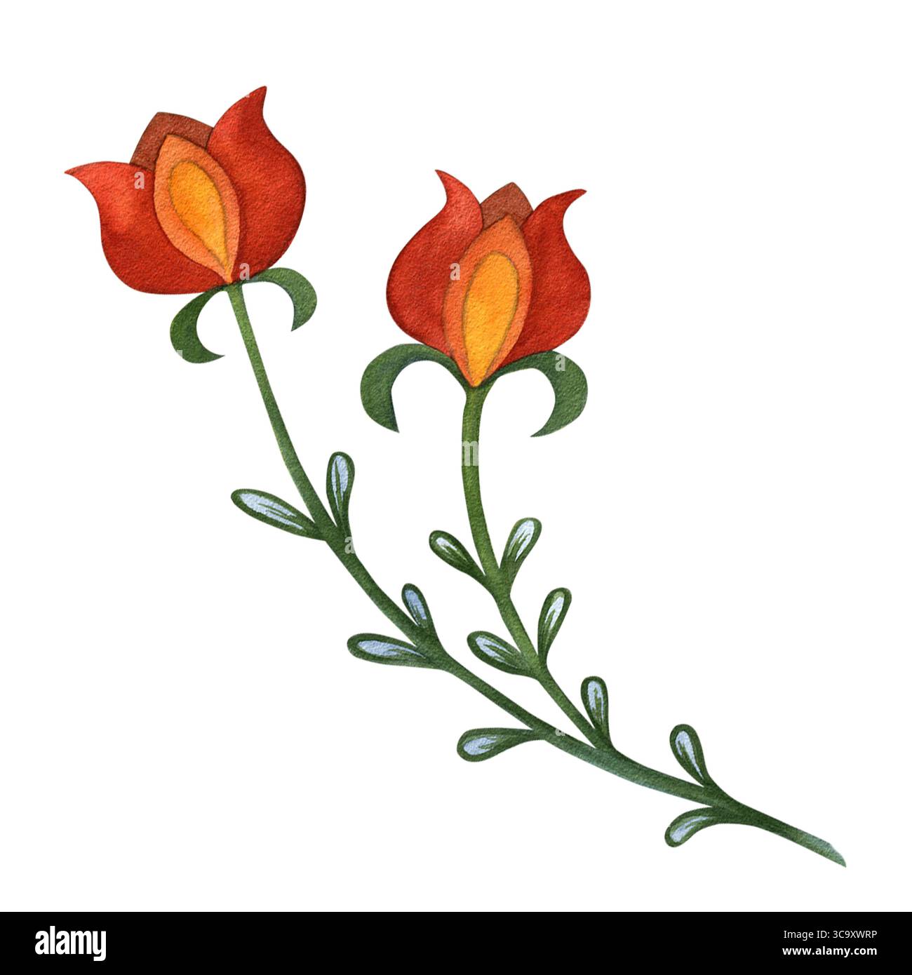 Illustrazione ad acquerello di fiori, arte floreale russa slava. Disegnato a mano isolato su sfondo bianco. Disegno per la stampa su inviti. Foto Stock