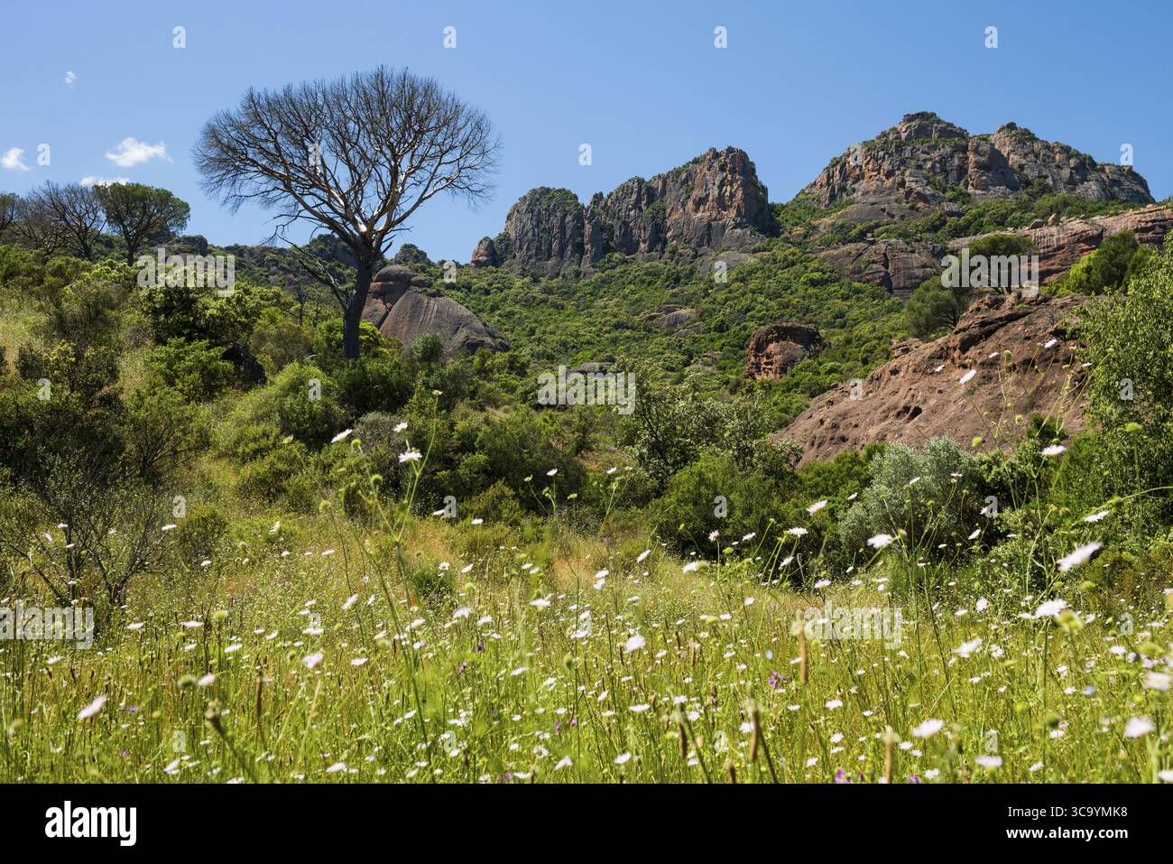 Rocher du roquebrune, Roquebrune-sur-Argens, vicino a Saint-Raphael, Massif de l'Esterel, Esterel Mountains, dipartimento Var, Costa Azzurra, Provenza-Alpe Foto Stock
