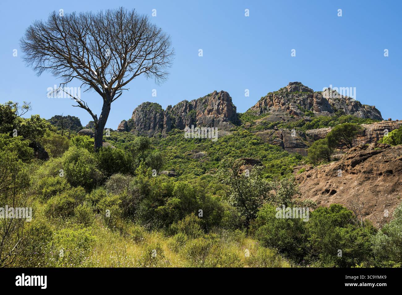 Rocher du roquebrune, Roquebrune-sur-Argens, vicino a Saint-Raphael, Massif de l'Esterel, Esterel Mountains, dipartimento Var, Costa Azzurra, Provenza-Alpe Foto Stock