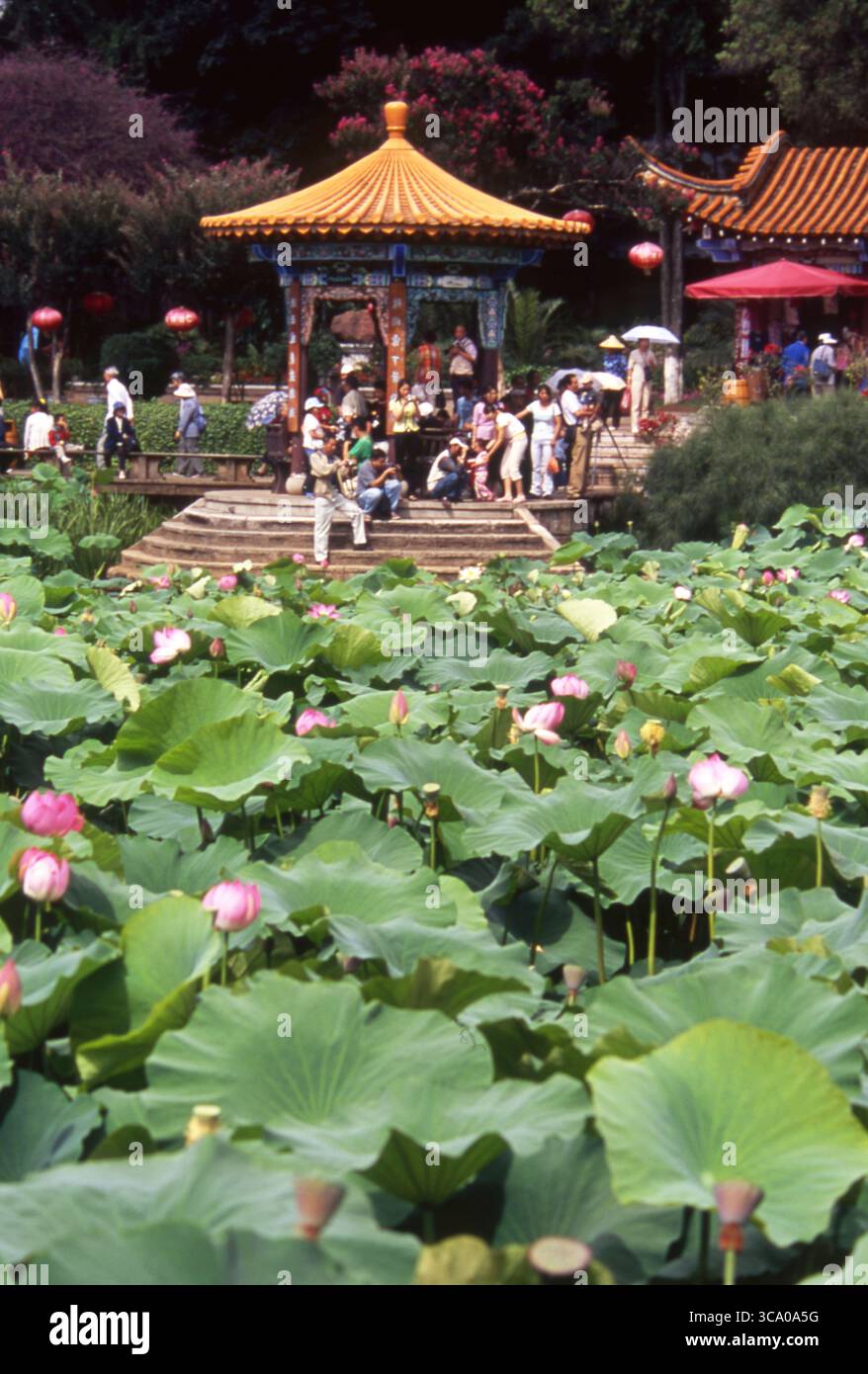 Turisti al Lotus-Pond Pavilion nel Chinese Garden Foto Stock