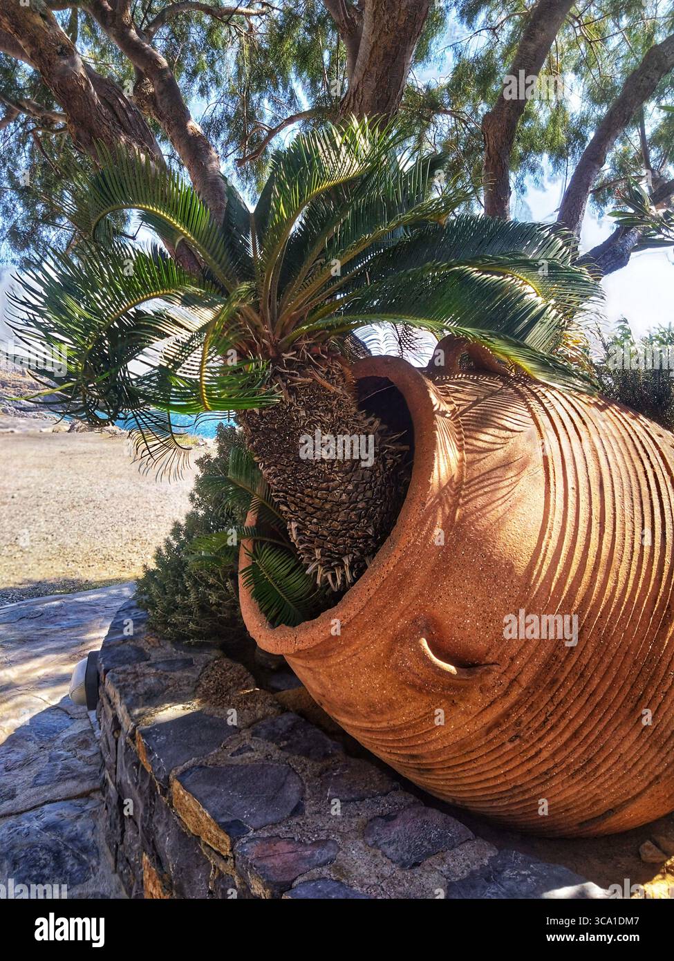 Palma decorativa che cresce da un vaso di ceramica in stile antico vicino alla spiaggia di Creta, Grecia. Giardino tradizionale cretese in un giorno d'estate soleggiato. Foto Stock