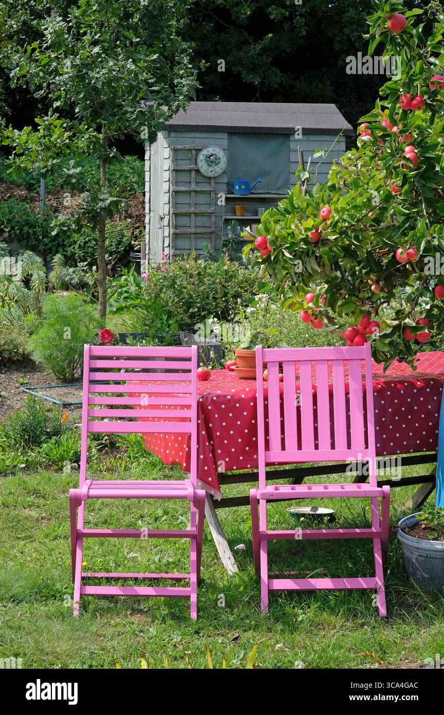 posti a sedere rosa su un giardino di appezzamento, nord di norfolk, inghilterra Foto Stock