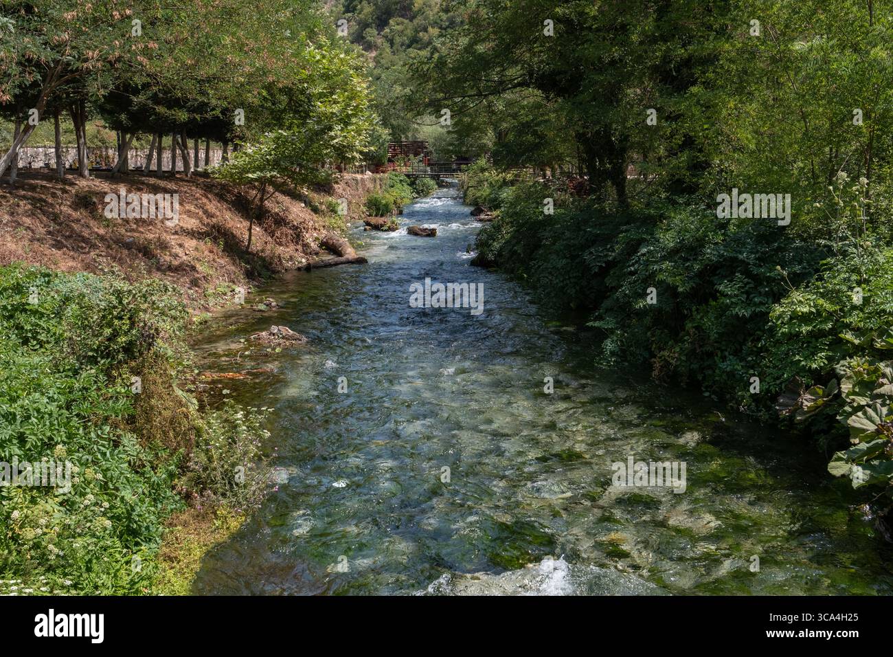 Ampia vista orizzontale del lago di uscita di Blue Eye vicino a Saranda, Albania, che mostra le acque cristalline, la foresta circostante e il paesaggio tranquillo. Foto Stock