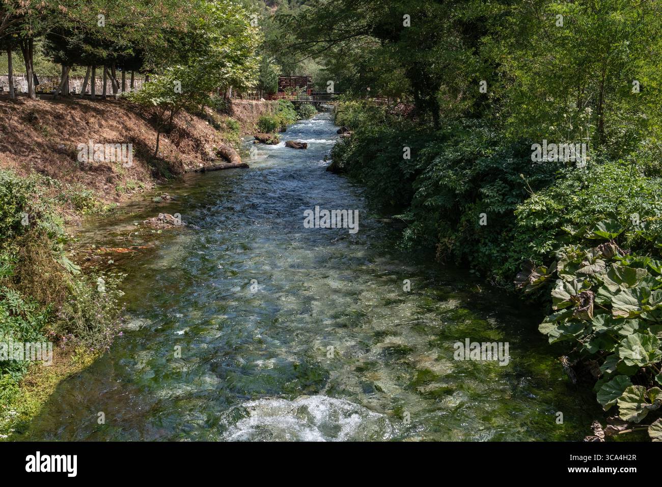 Ampia vista orizzontale del lago di uscita di Blue Eye vicino a Saranda, Albania, che mostra le acque cristalline, la foresta circostante e il paesaggio tranquillo. Foto Stock