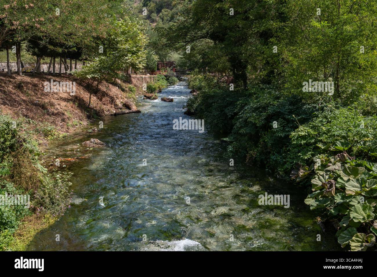 Ampia vista orizzontale del lago di uscita di Blue Eye vicino a Saranda, Albania, che mostra le acque cristalline, la foresta circostante e il paesaggio tranquillo. Foto Stock