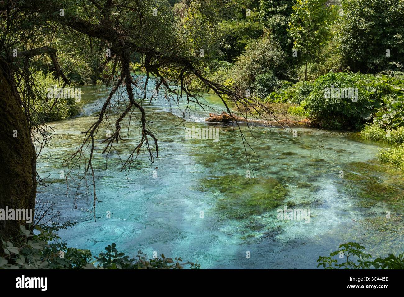 Una foto panoramica del paesaggio della sorgente Blue Eye (Syri i Kaltër) e della zona del lago circostante nel sud dell'Albania. Foto Stock