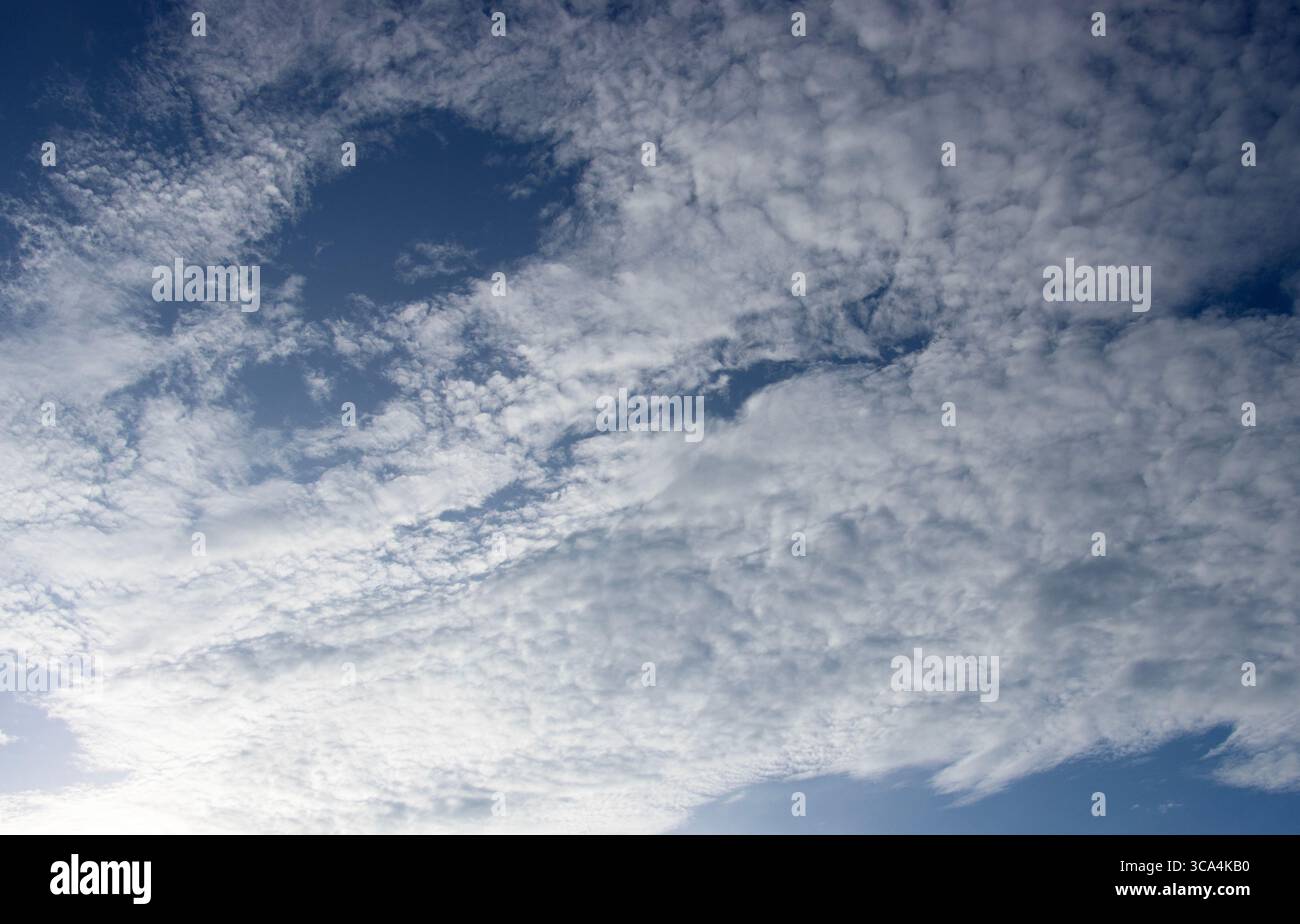 Altocumulus è una nuvola di livello medio, che comprende patch di grappoli di cumulus regolarmente distanziati. Gli Altocumulus floccus sono cristalli di ghiaccio al di sopra dell'azione termica Foto Stock