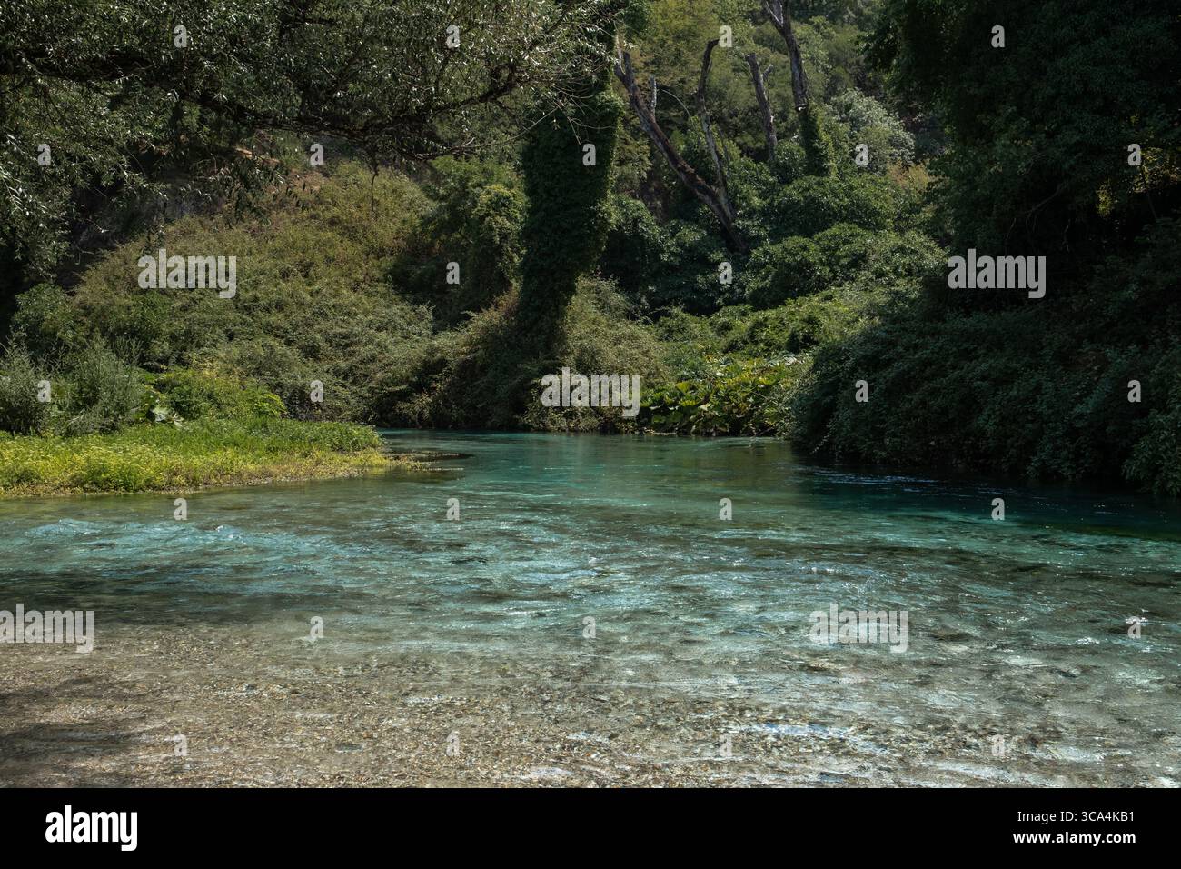 Una foto panoramica del paesaggio della sorgente Blue Eye (Syri i Kaltër) e della zona del lago circostante nel sud dell'Albania. Foto Stock