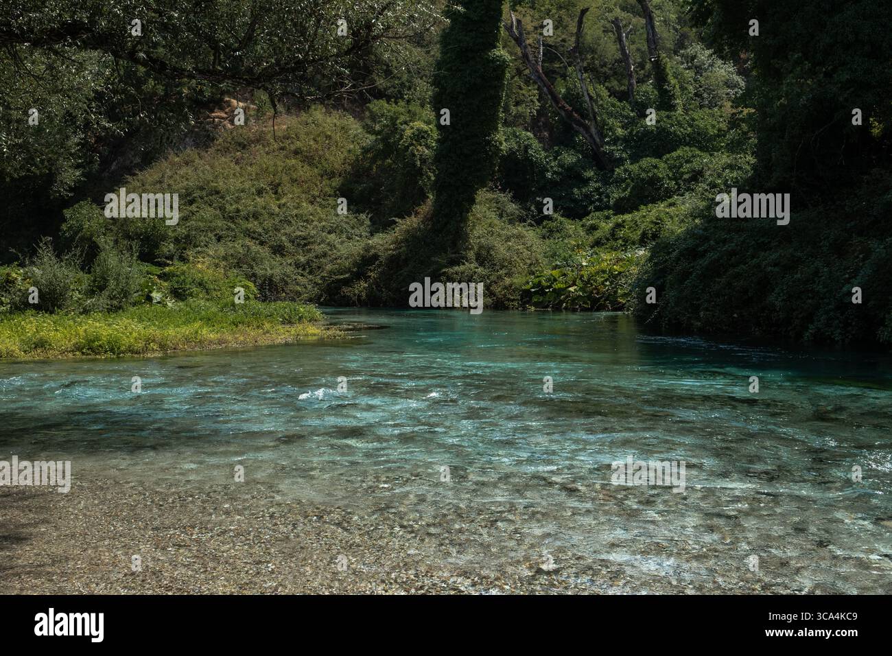 Una foto panoramica del paesaggio della sorgente Blue Eye (Syri i Kaltër) e della zona del lago circostante nel sud dell'Albania. Foto Stock