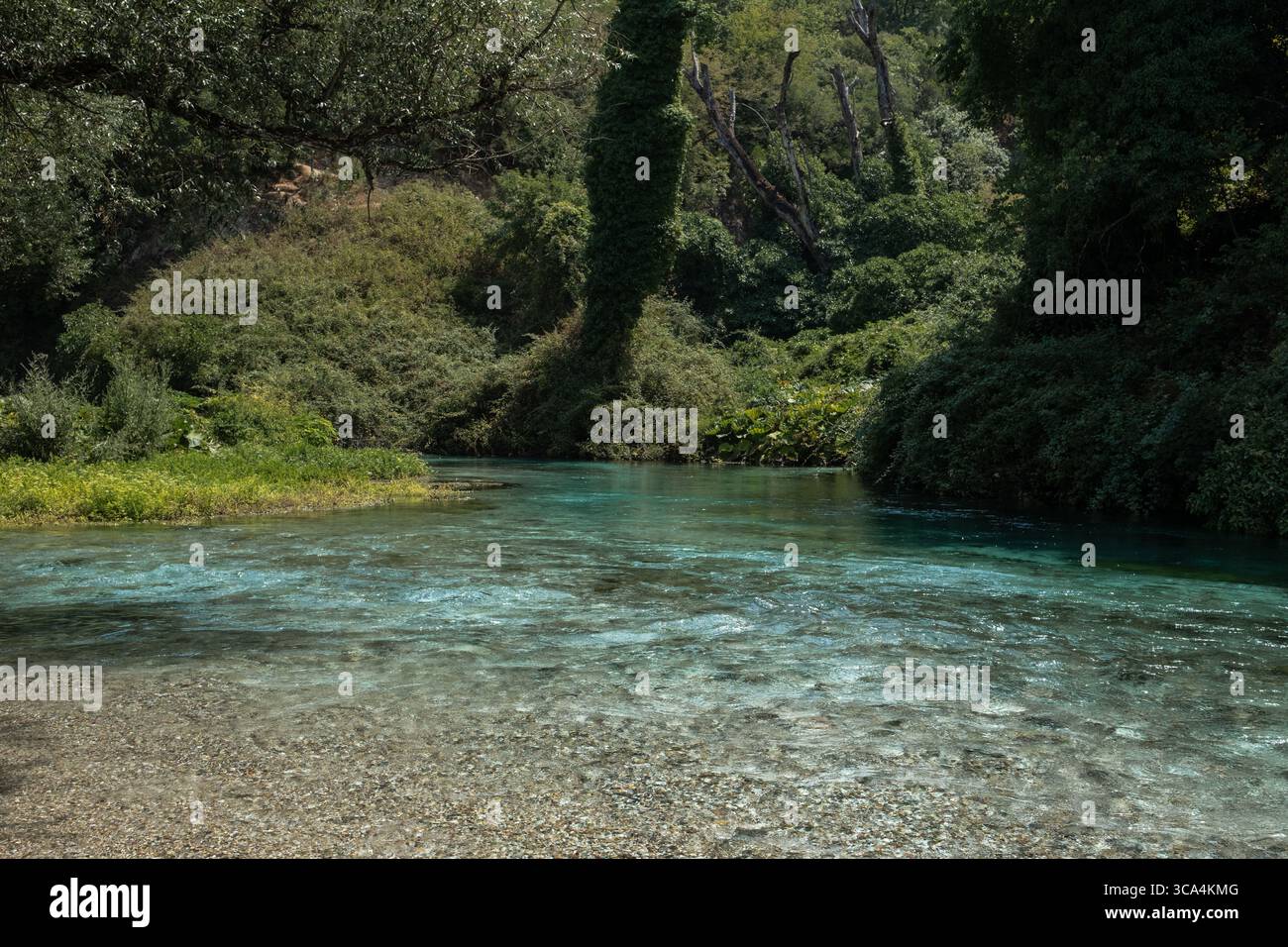 Una foto panoramica del paesaggio della sorgente Blue Eye (Syri i Kaltër) e della zona del lago circostante nel sud dell'Albania. Foto Stock