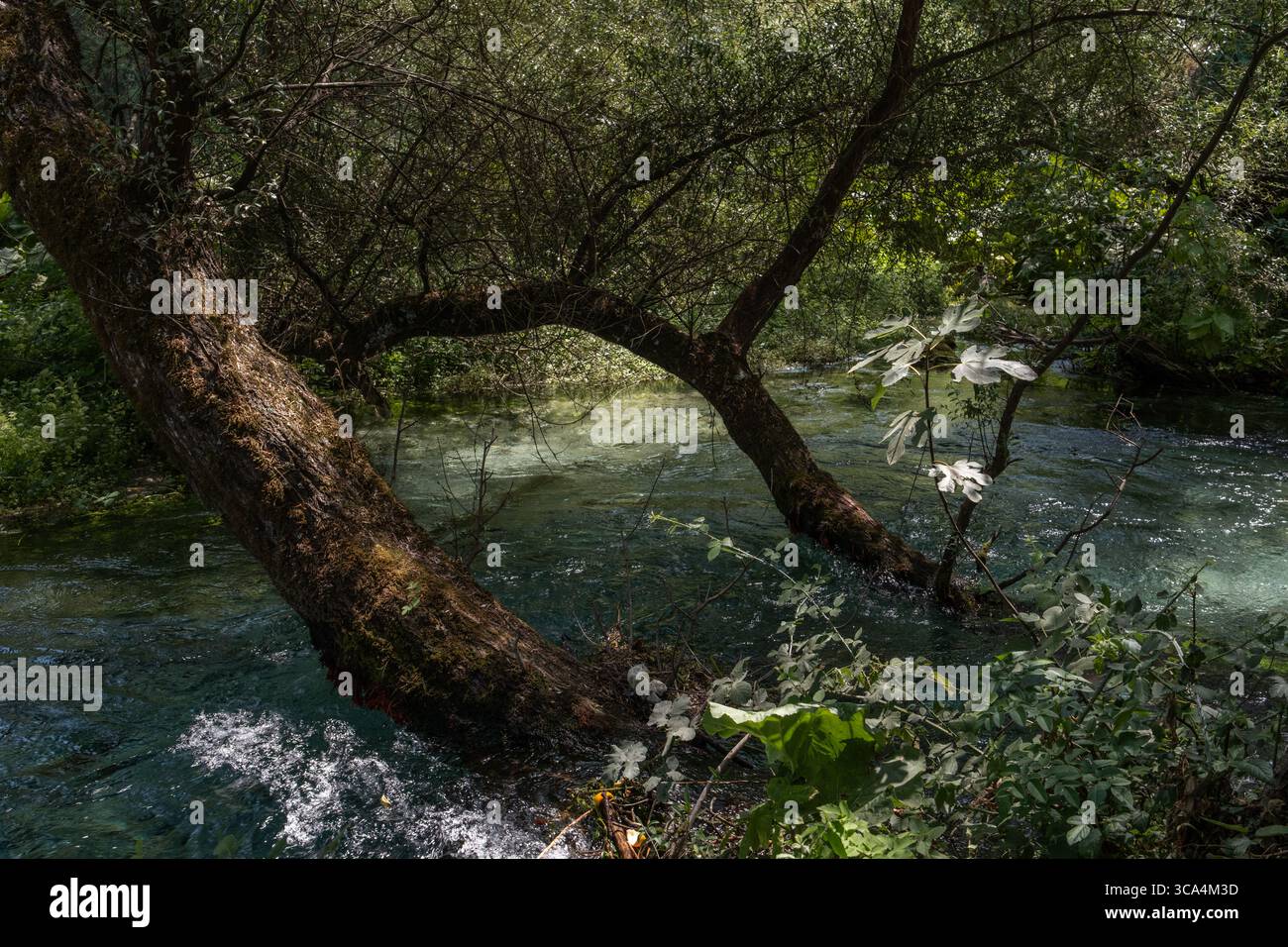 Una foto panoramica del paesaggio della sorgente Blue Eye (Syri i Kaltër) e della zona del lago circostante nel sud dell'Albania. Foto Stock
