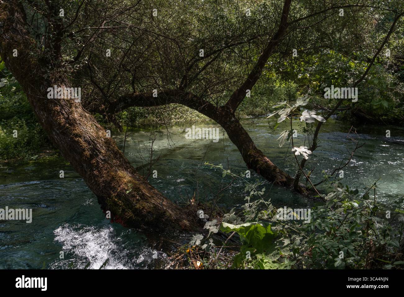 Una foto panoramica del paesaggio della sorgente Blue Eye (Syri i Kaltër) e della zona del lago circostante nel sud dell'Albania. Foto Stock