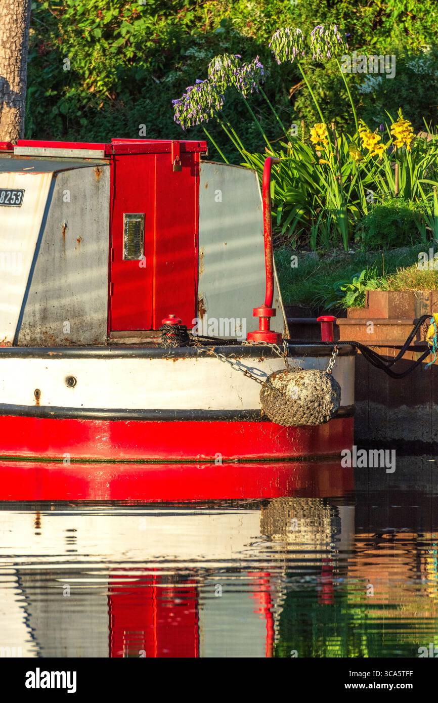 Barca rossa e bianca ormeggiata sul fiume Lee, canale della Lea Valley in estate, navigazione Lee, Londra, Inghilterra, Regno Unito. Stili di vita alternativi a Londra. Foto Stock