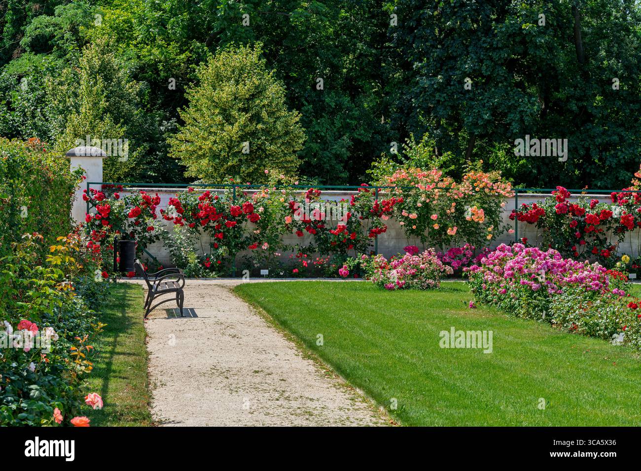 Giardino di rose del castello di Esterhazy nella città di Ferton, nella campagna dell'Ungheria occidentale, in Europa. Foto Stock