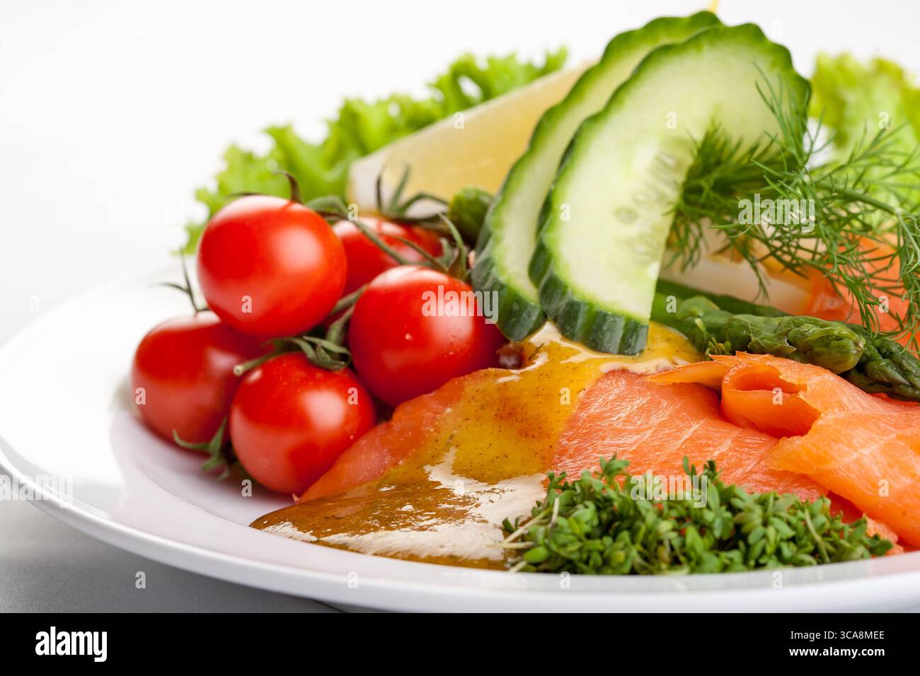 piatto salutare di salmone affumicato con cetriolo, pomodori, salsa ed erbe fresche su un piatto bianco, una foto da studio di un pasto gourmet Foto Stock