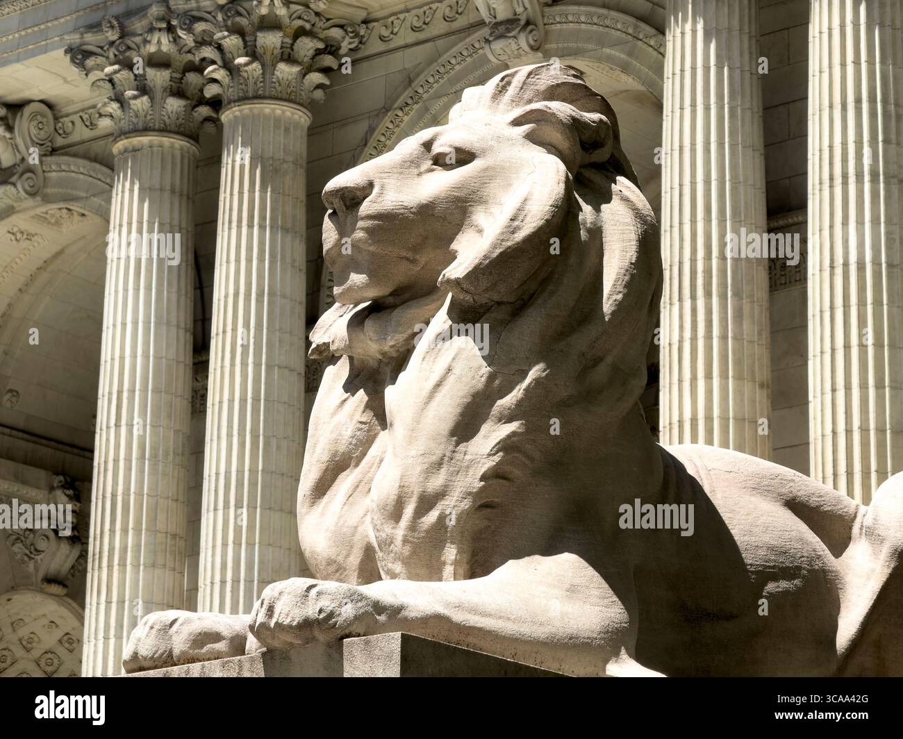 Statua del Leone Fortitude seduta in cima al piedistallo, Stephen A. Schwarzman Building, New York Public Library, ramo principale, esterno dell'edificio, Fifth Avenue, ma Foto Stock