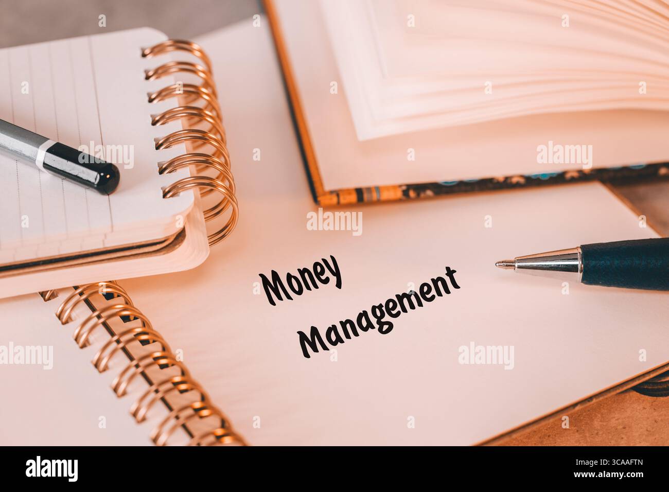 Gestione del denaro. Notebook aziendale. Pianificazione, monitoraggio e controllo dei flussi finanziari, sia personalmente che in un contesto aziendale. Risparmi sugli edifici, Foto Stock