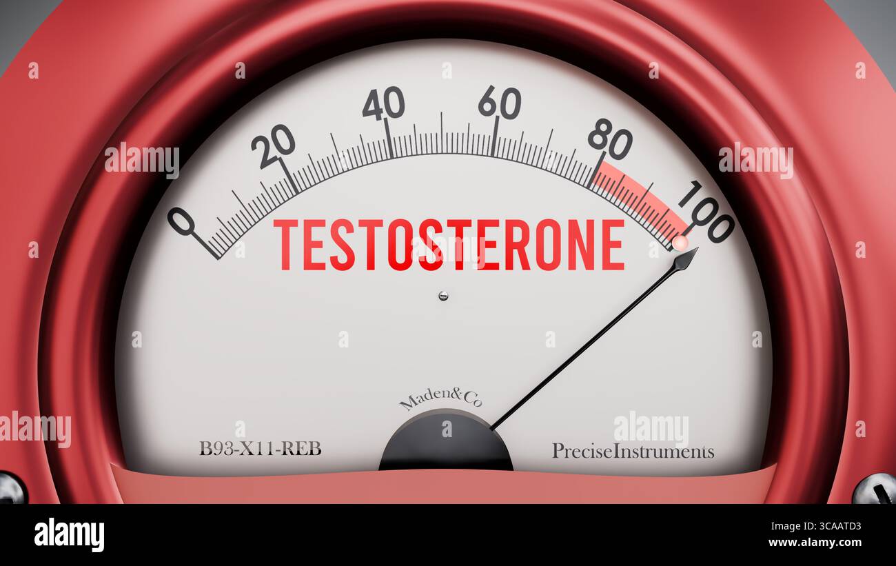 Testosterone che sta toccando una scala completa, valori in aumento, mostrando un livello molto alto di testosterone Foto Stock