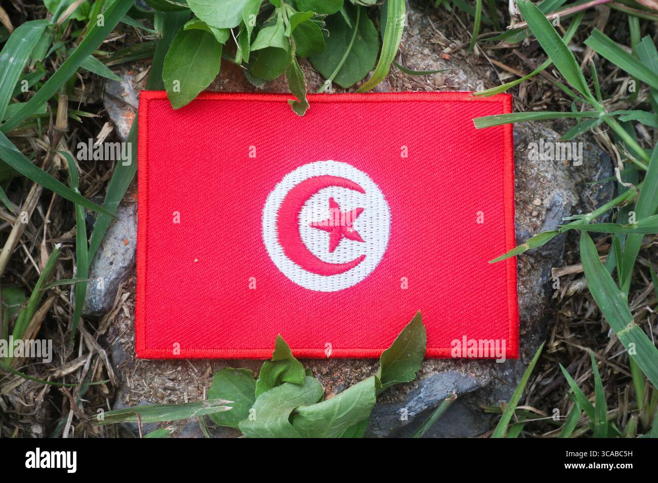 Ricamo bandiera tunisina su pietra nella luce della foresta, simboleggiando viaggi ecocompatibili, consapevolezza del cambiamento climatico e temi del turismo sostenibile. Foto Stock