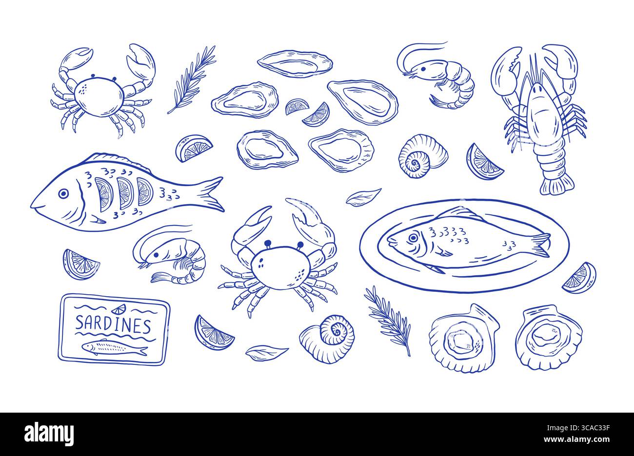 Set di illustrazioni a mano dei vettori di frutti di mare mediterranei. Ostriche, aragosta, granchio, pesce, capesante, sardina, frammento di gamberi Illustrazione Vettoriale