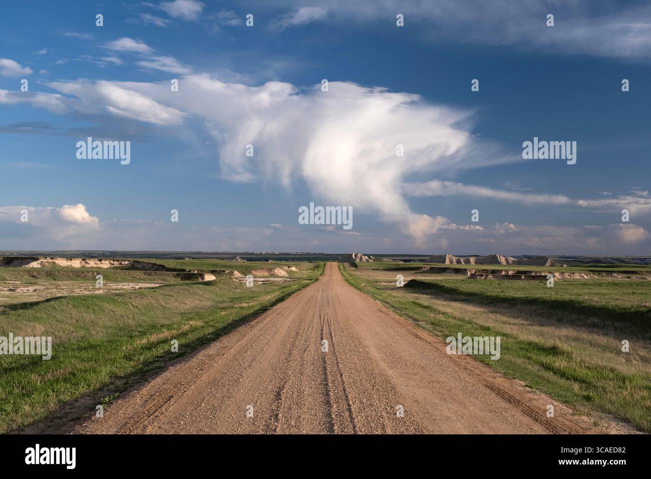 Osserva la prospettiva lungo una strada panoramica sterrata e ghiaia sulla solitaria prateria del South Dakota al Badlands National Park Foto Stock