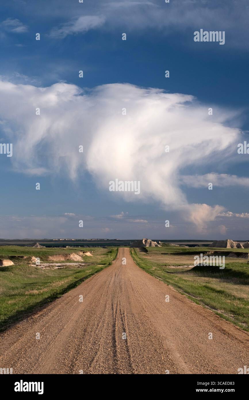 Vista verticale che guarda lungo una strada sterrata all'orizzonte sotto un cielo spettacolare sulla prateria del Badlands National Park nel South Dakota Foto Stock