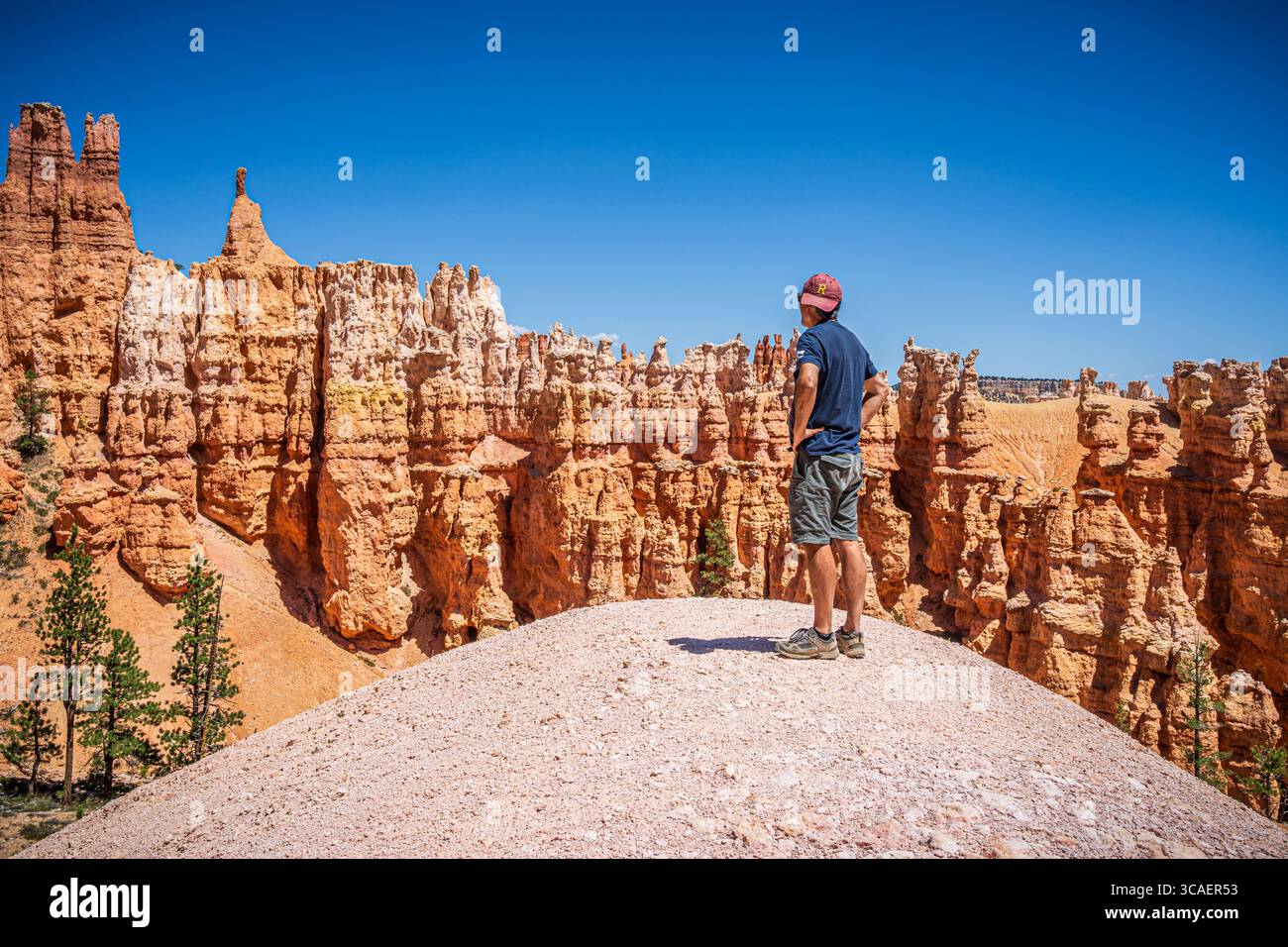Un visitatore contempla gli hoodoos del Bryce Canyon National Park. Il parco è conosciuto per la sua geologia e tranquillità uniche. Foto Stock