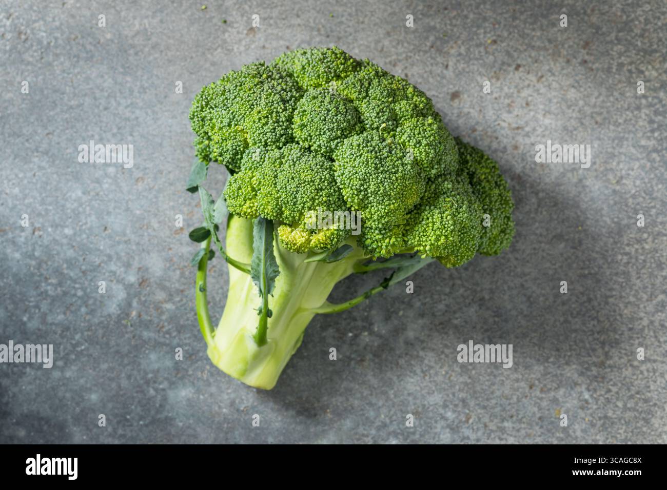 Testa di broccoli verdi organici crudi pronta per la cottura Foto Stock