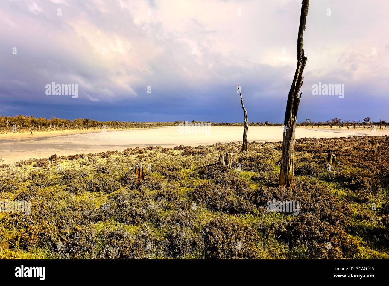 Si avvicina la tempesta, lago salato Ninan, Wongan Hills, Australia Occidentale Foto Stock