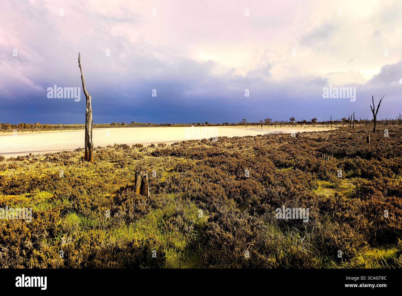 Si avvicina la tempesta, lago salato Ninan, Wongan Hills, Australia Occidentale Foto Stock