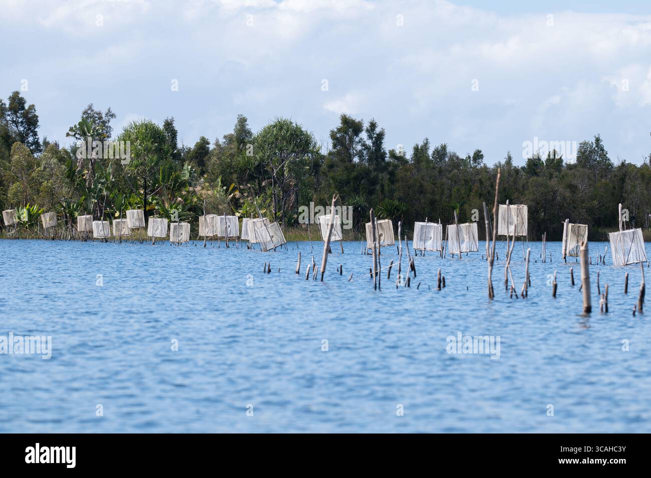 Trappole fatte a mano nelle acque poco profonde del canale Pangalanes, utilizzate dai pescatori locali per catturare gamberi, pesci e anguille durante l'alta marea. Foto Stock