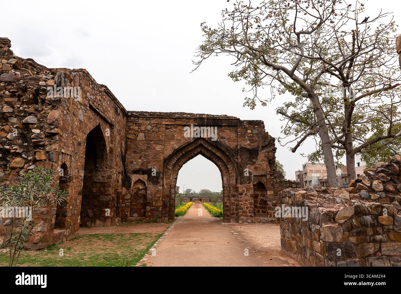 Le rovine storiche di Feroz Shah Kotla, una fortezza del XIV secolo costruita dal sultano Feroz Shah Tughlaq, a Delhi, India. Foto Stock