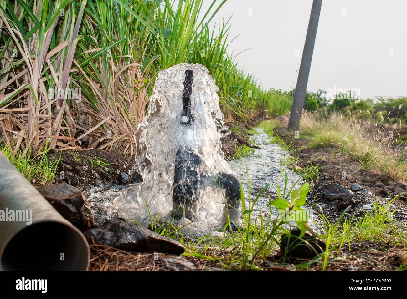 Pompa tubo flusso acqua attrezzature agricoltura, acqua da un laghetto ben riempito per l'irrigazione, acqua di irrigazione dalla fonte, flusso di acqua da grande pu Foto Stock