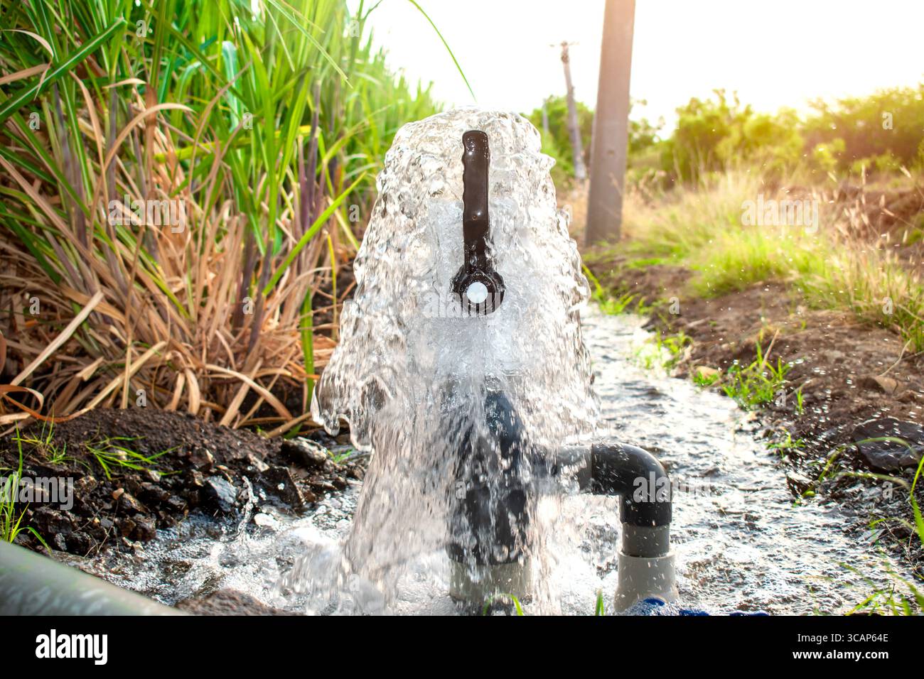 Pompa tubo flusso acqua attrezzature agricoltura, acqua da un laghetto ben riempito per l'irrigazione, acqua di irrigazione dalla fonte, flusso di acqua da grande pu Foto Stock