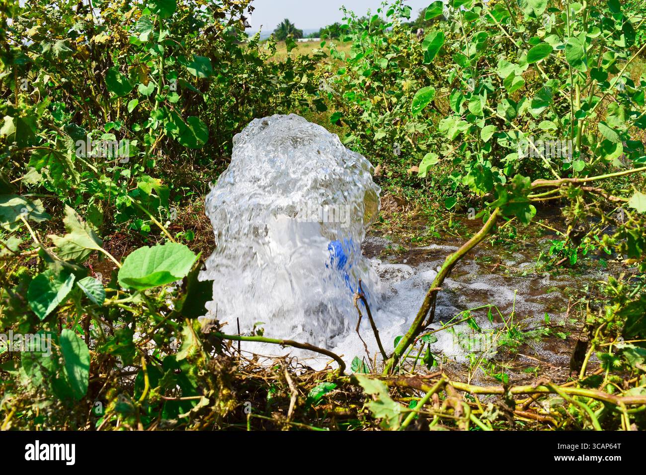 L'acqua fluisce attraverso il tubo bianco della pompa in agricoltura, attrezzature agricole Foto Stock