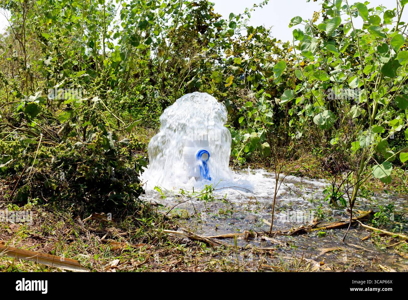 L'acqua fluisce attraverso il tubo bianco della pompa in agricoltura, attrezzature agricole Foto Stock