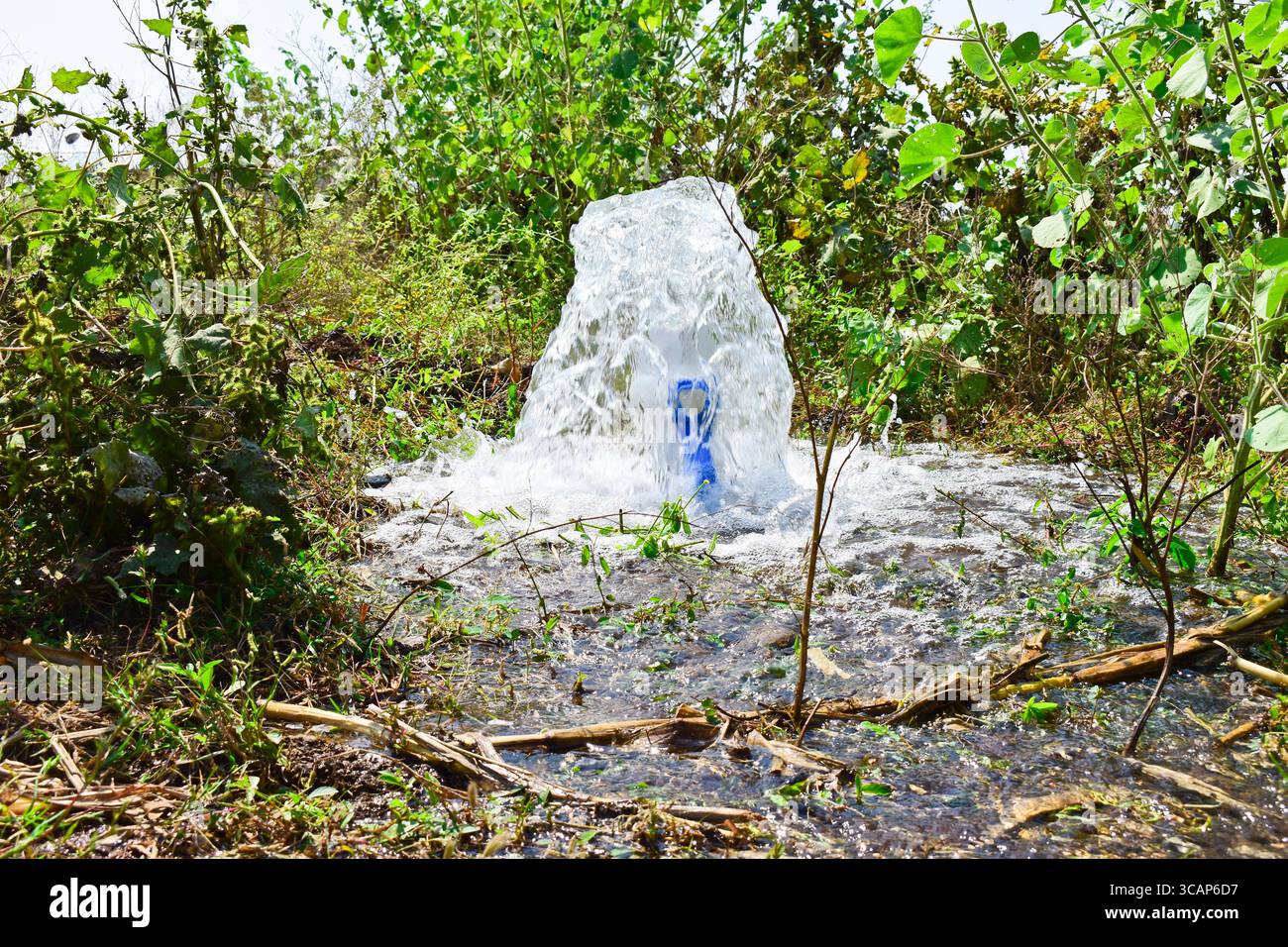 L'acqua fluisce attraverso il tubo bianco della pompa in agricoltura, attrezzature agricole Foto Stock