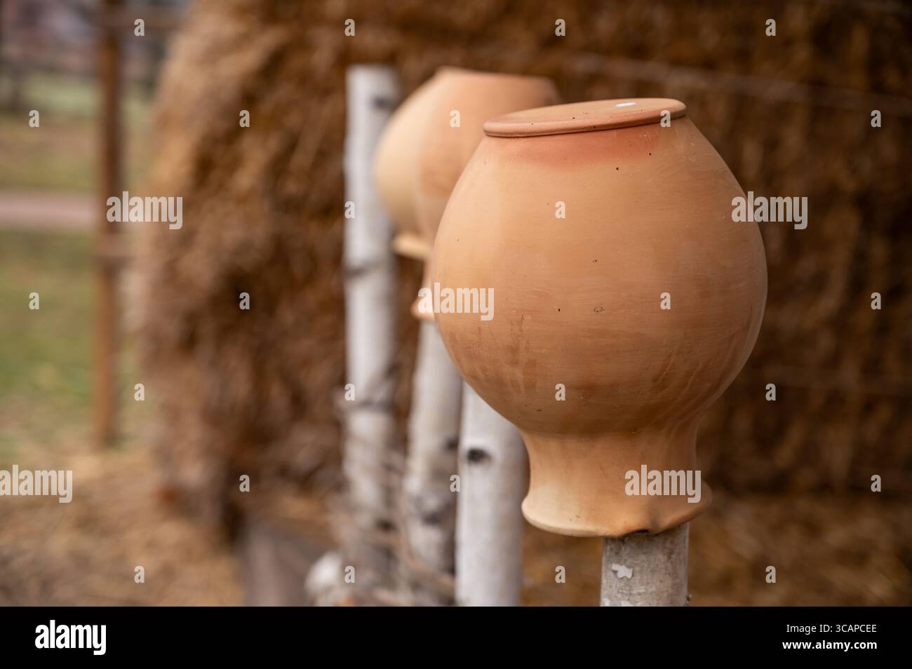 antiche caraffe rustiche di argilla poste sul collo su una recinzione di legno, sullo sfondo di un pagliaio, un elemento della vita di un antico villaggio Foto Stock