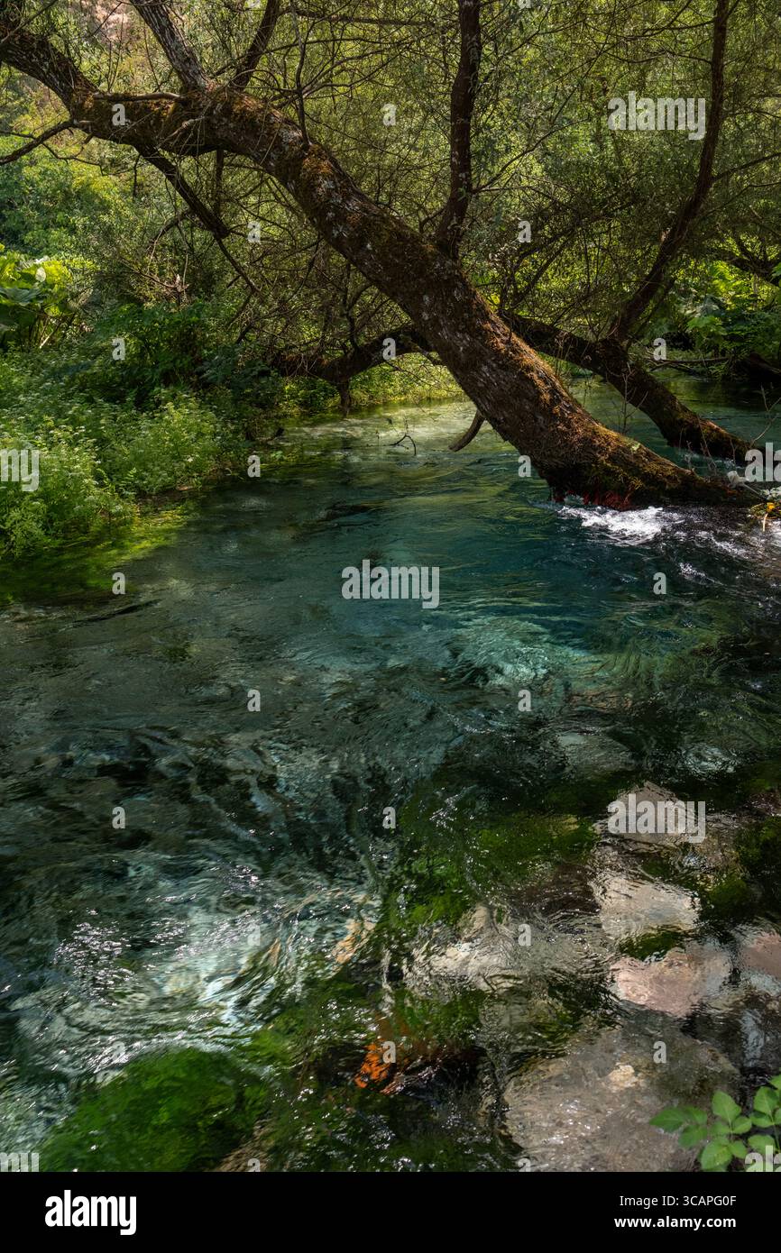 Sorgente Blue Eye a Sarande, Albania, con profonde acque turchesi e bellezze naturali circostanti. Foto Stock