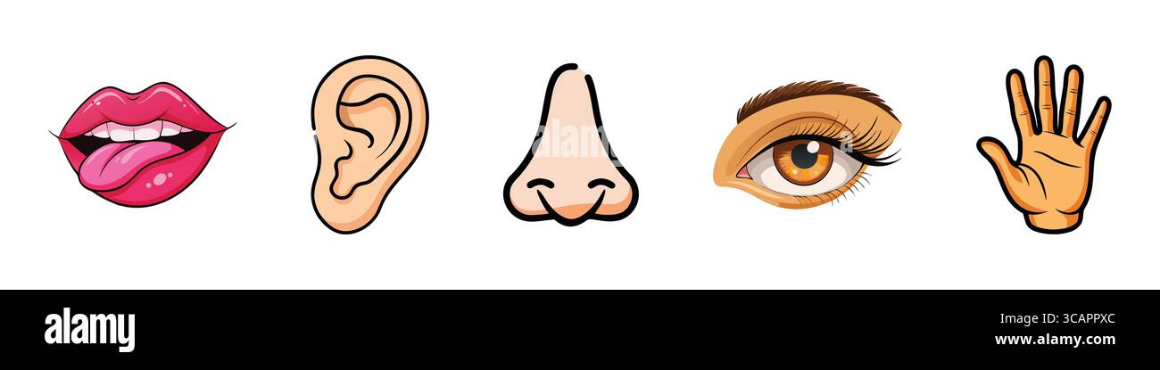 Caratteristiche del viso: Icone labbra, orecchio, naso, occhio e mano Illustrazione Vettoriale