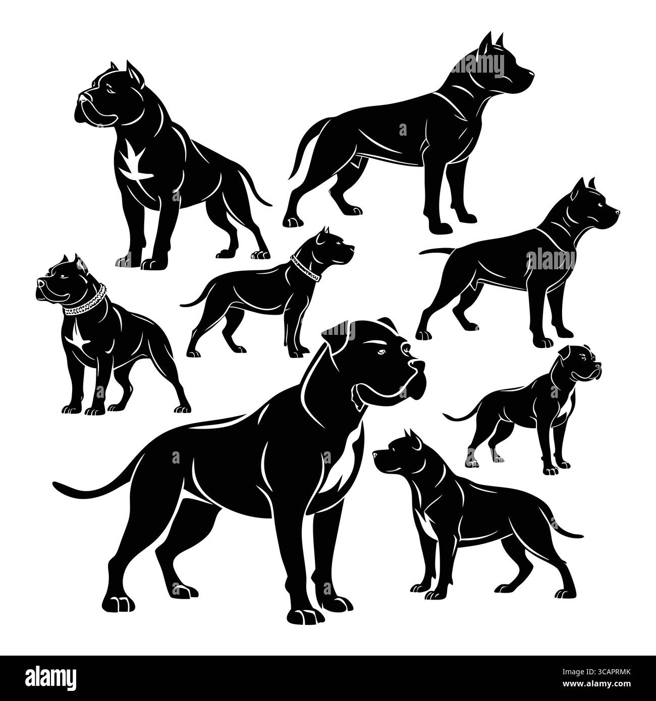 Collezione di Black silhouette American Bully Pitbull Dogs in diverse pose e prospettive Illustrazione Vettoriale
