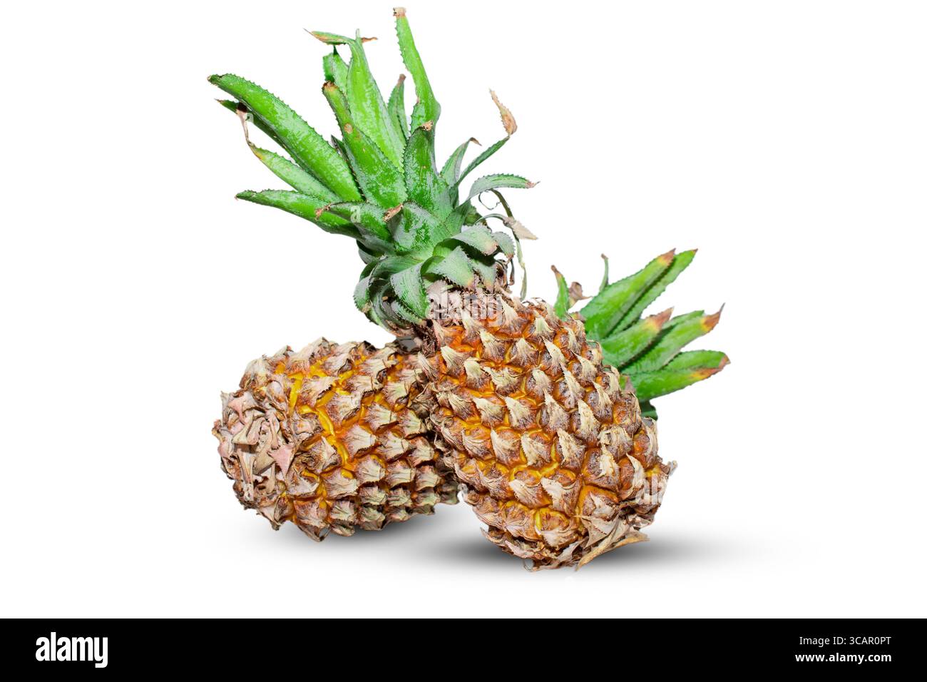 Ananas ( Ananas comosus ) isolato su sfondo bianco . Percorso di ritaglio dell'ananas. Foto Stock