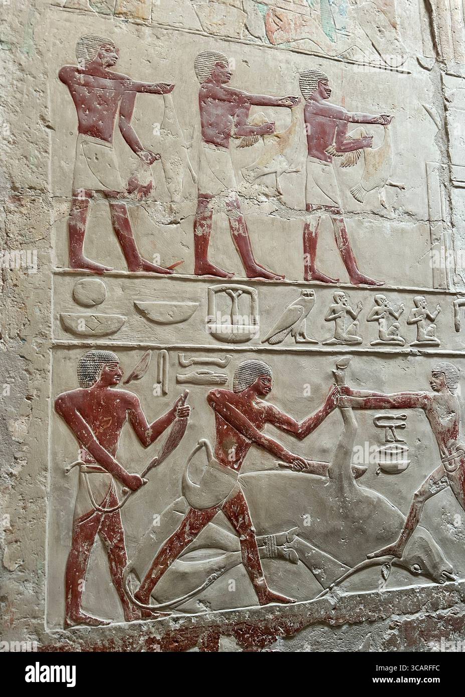 Antico rilievo egizio dalla mastaba della principessa Idut a Saqqara, raffigurante il sacrificio rituale di tori come parte delle usanze funerarie. Foto Stock