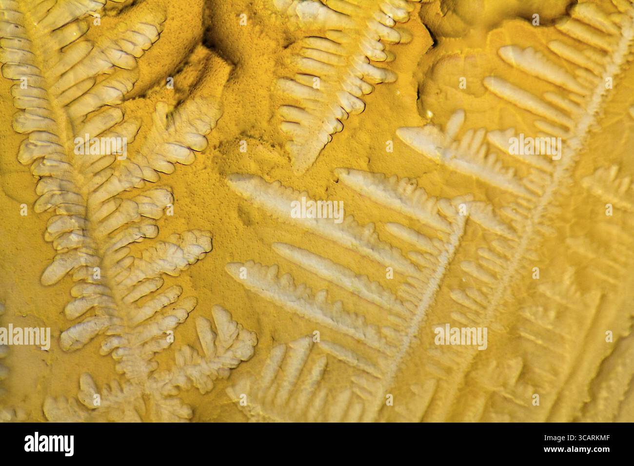 Shot microscopico che mostra i microcristalli di condimento fluido Foto Stock