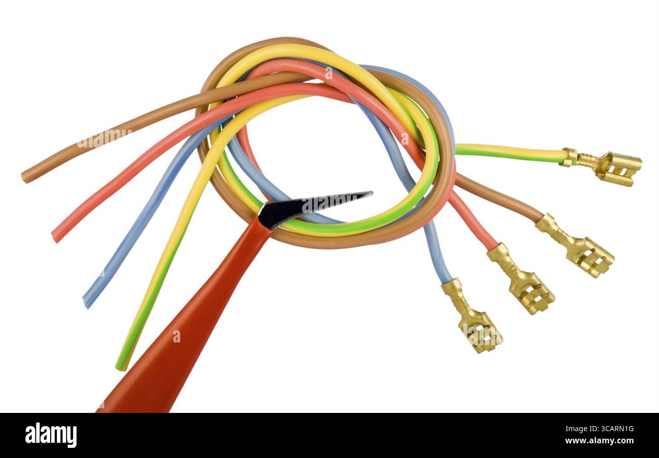 I cavi colorati sono predisposti per il collegamento alle linee elettriche di alimentazione. Isolato su bianco Foto Stock