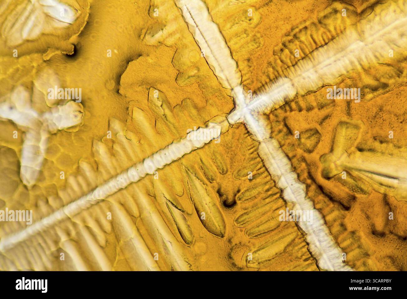 Shot microscopico che mostra i microcristalli di condimento fluido Foto Stock