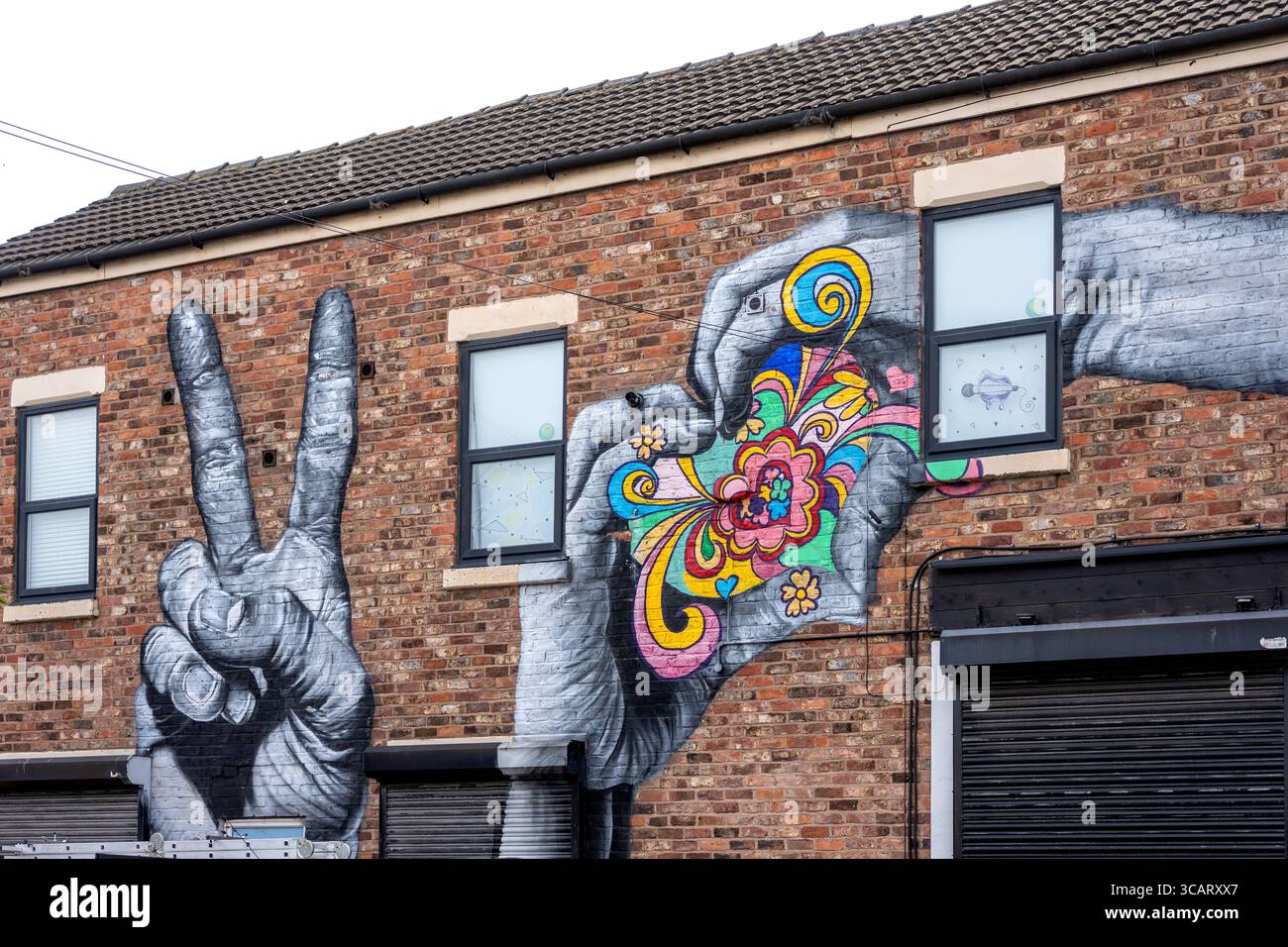 Arte murale in un negozio all'angolo in Kinmel Street Liverpool Toxteth L8 UK Foto Stock